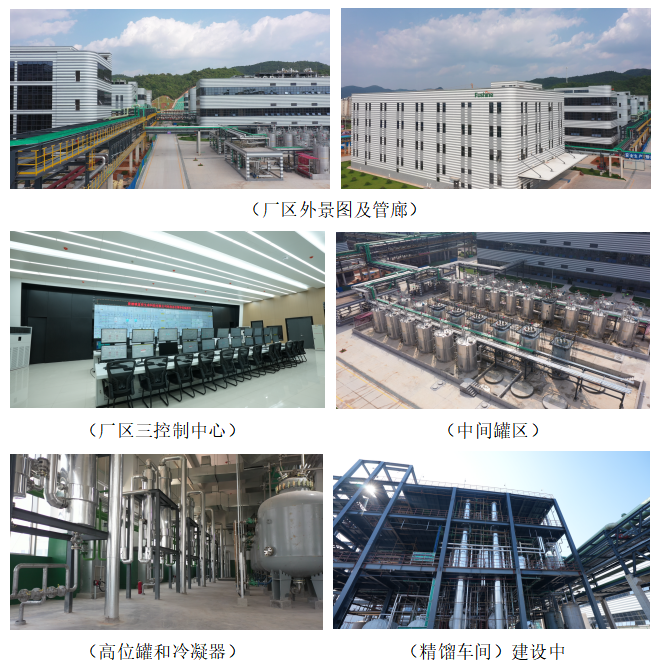 九五至尊VI老品牌值得信任 -官方网站